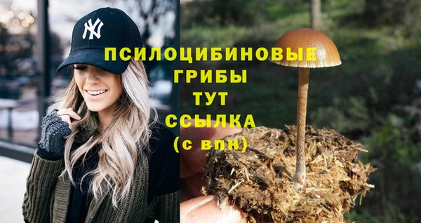 Альфа ПВП Медвежьегорск