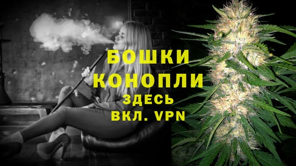 прущие грибы Мегион