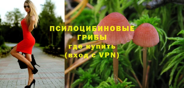 стаф Богородицк
