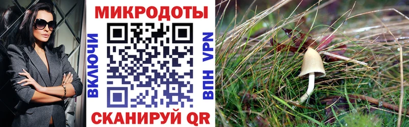 MEGA вход  Бор  Псилоцибиновые грибы GOLDEN TEACHER 