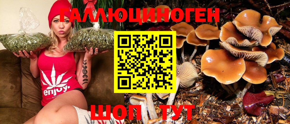 где купить наркоту  Бор  Псилоцибиновые грибы мицелий 