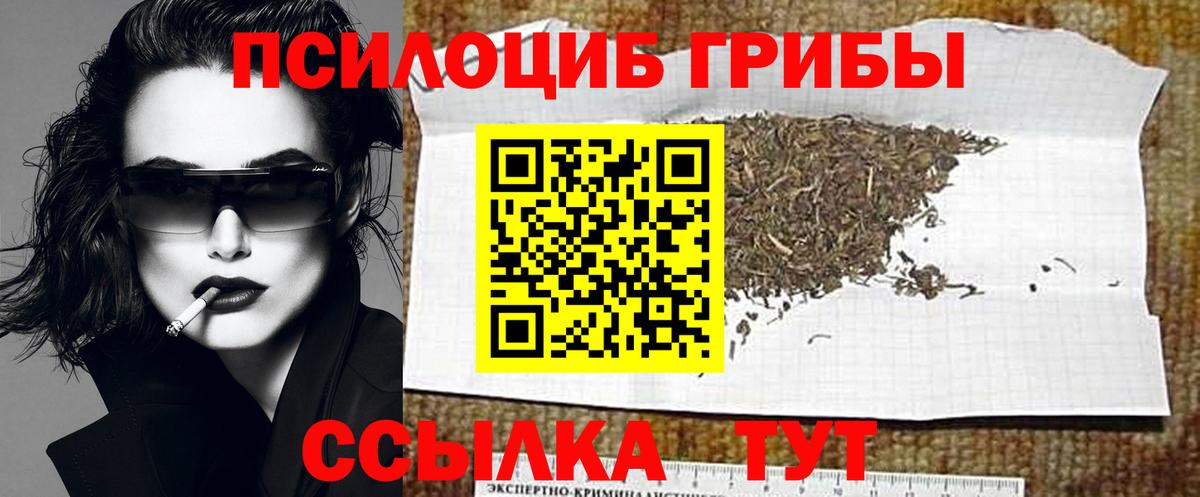 Псилоцибиновые грибы Psilocybine cubensis  Галлюциногенные грибы Cubensis  Бор  Вход с VPN 